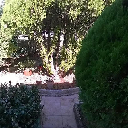ゲストハウス Casa Maria *